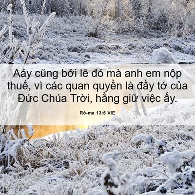 Picture 06 - Rô-ma 13:6 VIE - Aáy cũng bởi lẽ đó mà anh em nộp - Bible Verse Picture