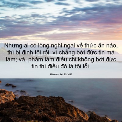 Picture 06 - Rô-ma 14:23 VIE - Nhưng ai có lòng nghi ngại về thức ăn - Bible Verse Picture