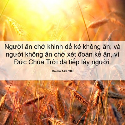 Picture 06 - Rô-ma 14:3 VIE - Người ăn chớ khinh dể kẻ không ăn; - Bible Verse Picture
