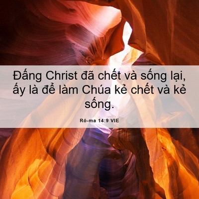 Picture 06 - Rô-ma 14:9 VIE - Đấng Christ đã chết và sống lại, ấy - Bible Verse Picture
