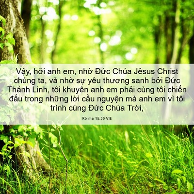 Picture 06 - Rô-ma 15:30 VIE - Vậy, hỡi anh em, nhờ Đức Chúa Jêsus - Bible Verse Picture