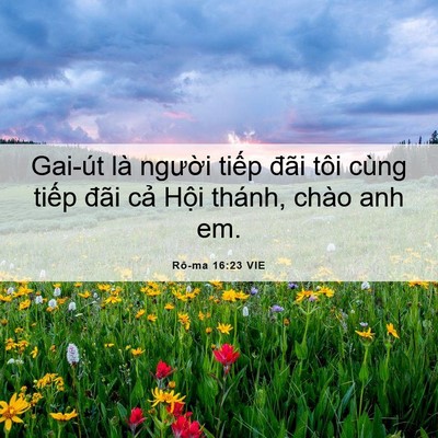 Picture 06 - Rô-ma 16:23 VIE - Gai-út là người tiếp đãi tôi cùng - Bible Verse Picture
