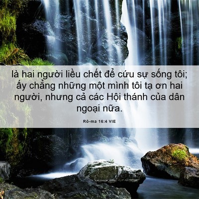 Picture 06 - Rô-ma 16:4 VIE - là hai người liều chết để cứu sự - Bible Verse Picture