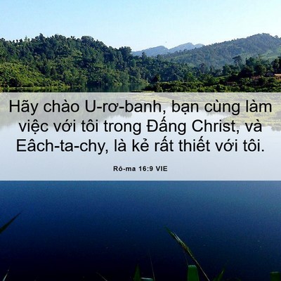 Picture 06 - Rô-ma 16:9 VIE - Hãy chào U-rơ-banh, bạn cùng làm việc - Bible Verse Picture