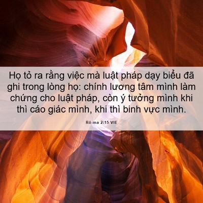 Picture 06 - Rô-ma 2:15 VIE - Họ tỏ ra rằng việc mà luật pháp dạy - Bible Verse Picture