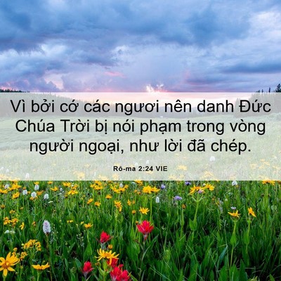 Picture 06 - Rô-ma 2:24 VIE - Vì bởi cớ các ngươi nên danh Đức - Bible Verse Picture