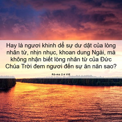 Picture 06 - Rô-ma 2:4 VIE - Hay là ngươi khinh dể sự dư dật của - Bible Verse Picture
