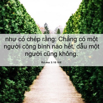 Picture 06 - Rô-ma 3:10 VIE - như có chép rằng: Chẳng có một người - Bible Verse Picture