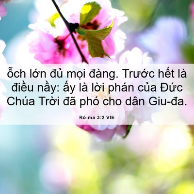 Picture 06 - Rô-ma 3:2 VIE - ỗch lớn đủ mọi đàng. Trước hết - Bible Verse Picture