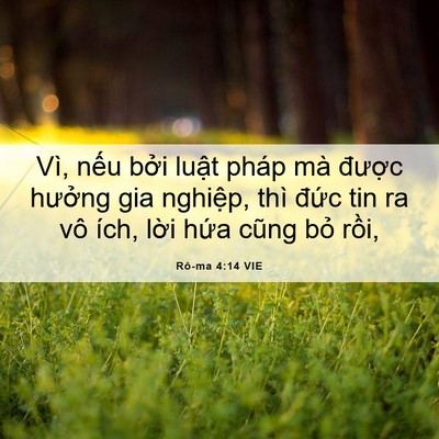 Picture 06 - Rô-ma 4:14 VIE - Vì, nếu bởi luật pháp mà được - Bible Verse Picture