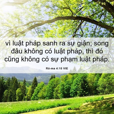 Picture 06 - Rô-ma 4:15 VIE - vì luật pháp sanh ra sự giận; song đâu - Bible Verse Picture