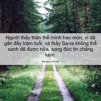 Picture 06 - Rô-ma 4:19 VIE - Người thấy thân thể mình hao mòn, vì - Bible Verse Picture