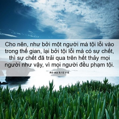 Picture 06 - Rô-ma 5:12 VIE - Cho nên, như bởi một người mà tội - Bible Verse Picture