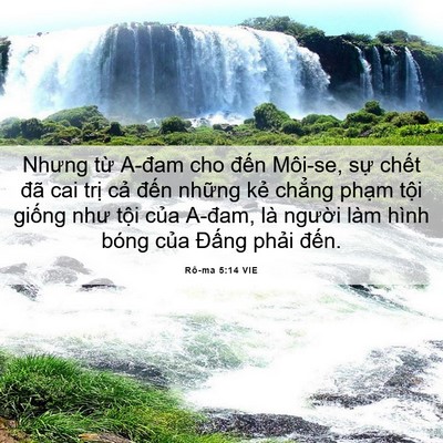 Picture 06 - Rô-ma 5:14 VIE - Nhưng từ A-đam cho đến Môi-se, sự - Bible Verse Picture