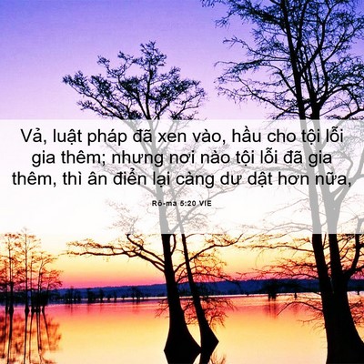 Picture 06 - Rô-ma 5:20 VIE - Vả, luật pháp đã xen vào, hầu cho tội - Bible Verse Picture