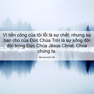 Picture 06 - Rô-ma 6:23 VIE - Vì tiền công của tội lỗi là sự - Bible Verse Picture