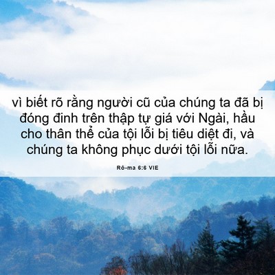 Picture 06 - Rô-ma 6:6 VIE - vì biết rõ rằng người cũ của chúng - Bible Verse Picture