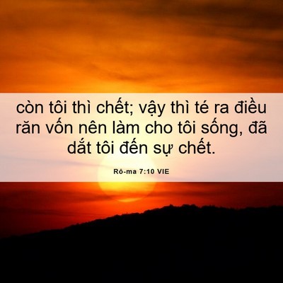 Picture 06 - Rô-ma 7:10 VIE - còn tôi thì chết; vậy thì té ra điều - Bible Verse Picture