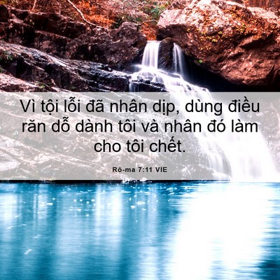 Picture 06 - Rô-ma 7:11 VIE - Vì tội lỗi đã nhân dịp, dùng điều - Bible Verse Picture