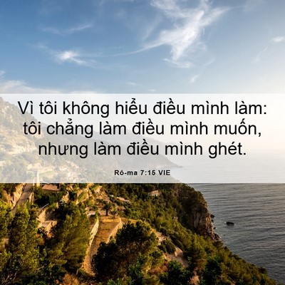 Picture 06 - Rô-ma 7:15 VIE - Vì tôi không hiểu điều mình làm: tôi - Bible Verse Picture