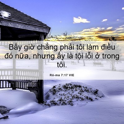 Picture 06 - Rô-ma 7:17 VIE - Bấy giờ chẳng phải tôi làm điều đó - Bible Verse Picture
