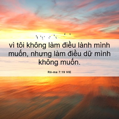 Picture 06 - Rô-ma 7:19 VIE - vì tôi không làm điều lành mình muốn, - Bible Verse Picture