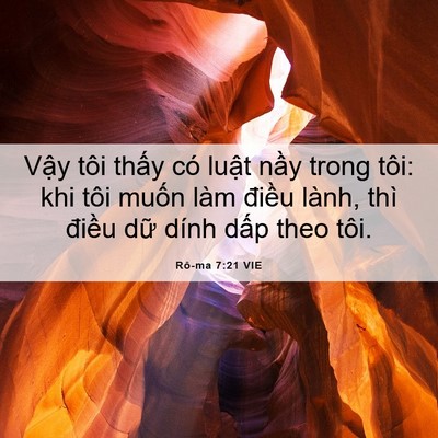 Picture 06 - Rô-ma 7:21 VIE - Vậy tôi thấy có luật nầy trong tôi: - Bible Verse Picture