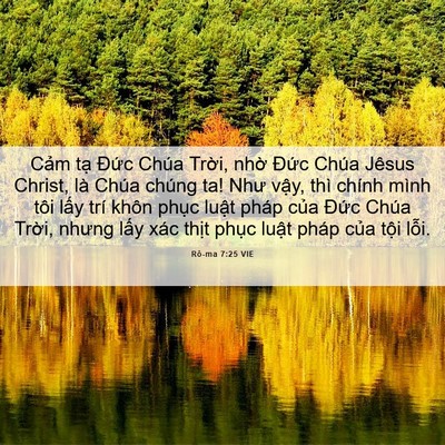 Picture 06 - Rô-ma 7:25 VIE - Cảm tạ Đức Chúa Trời, nhờ Đức - Bible Verse Picture