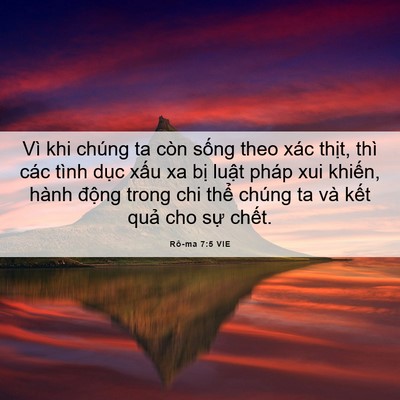 Picture 06 - Rô-ma 7:5 VIE - Vì khi chúng ta còn sống theo xác thịt, - Bible Verse Picture