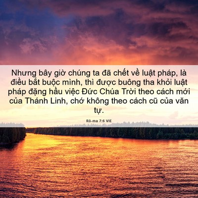Picture 06 - Rô-ma 7:6 VIE - Nhưng bây giờ chúng ta đã chết về - Bible Verse Picture