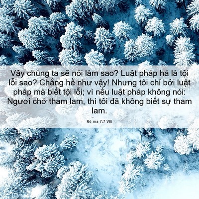 Picture 06 - Rô-ma 7:7 VIE - Vậy chúng ta sẽ nói làm sao? Luật pháp - Bible Verse Picture