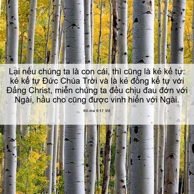 Picture 06 - Rô-ma 8:17 VIE - Lại nếu chúng ta là con cái, thì cũng - Bible Verse Picture