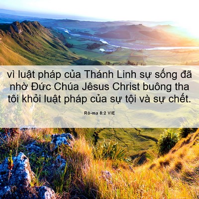 Picture 06 - Rô-ma 8:2 VIE - vì luật pháp của Thánh Linh sự sống - Bible Verse Picture