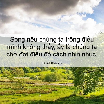 Picture 06 - Rô-ma 8:25 VIE - Song nếu chúng ta trông điều mình không - Bible Verse Picture