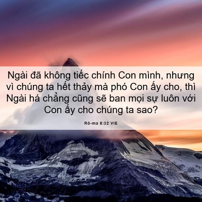 Picture 06 - Rô-ma 8:32 VIE - Ngài đã không tiếc chính Con mình, nhưng - Bible Verse Picture