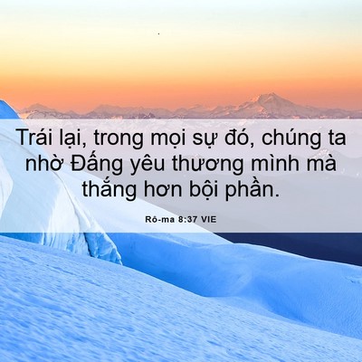 Picture 06 - Rô-ma 8:37 VIE - Trái lại, trong mọi sự đó, chúng ta - Bible Verse Picture