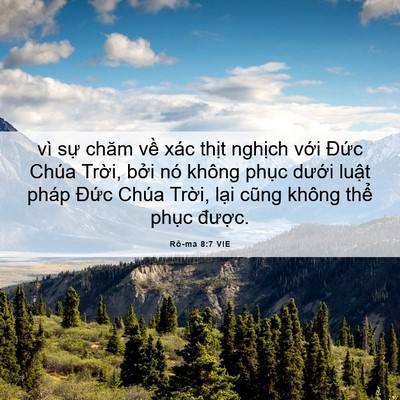 Picture 06 - Rô-ma 8:7 VIE - vì sự chăm về xác thịt nghịch với - Bible Verse Picture