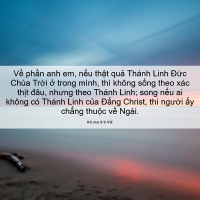 Picture 06 - Rô-ma 8:9 VIE - Về phần anh em, nếu thật quả Thánh - Bible Verse Picture