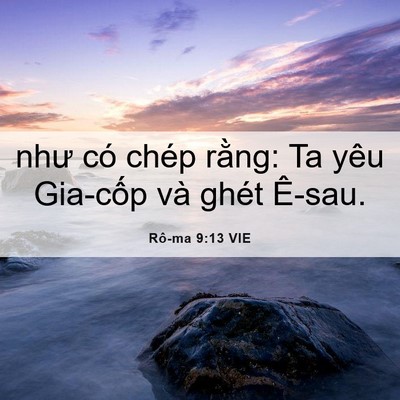 Picture 06 - Rô-ma 9:13 VIE - như có chép rằng: Ta yêu Gia-cốp và - Bible Verse Picture