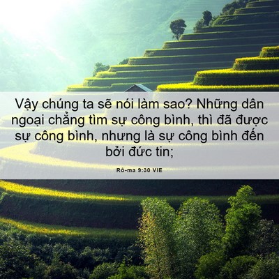 Picture 06 - Rô-ma 9:30 VIE - Vậy chúng ta sẽ nói làm sao? Những dân - Bible Verse Picture