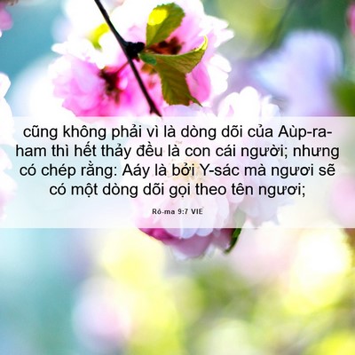 Picture 06 - Rô-ma 9:7 VIE - cũng không phải vì là dòng dõi của - Bible Verse Picture