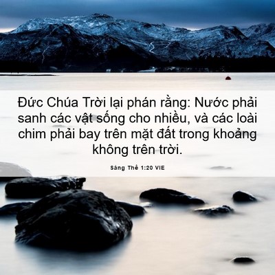 Picture 06 - Sáng Thế 1:20 VIE - Đức Chúa Trời lại phán rằng: Nước - Bible Verse Picture