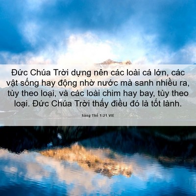 Picture 06 - Sáng Thế 1:21 VIE - Đức Chúa Trời dựng nên các loài cá - Bible Verse Picture