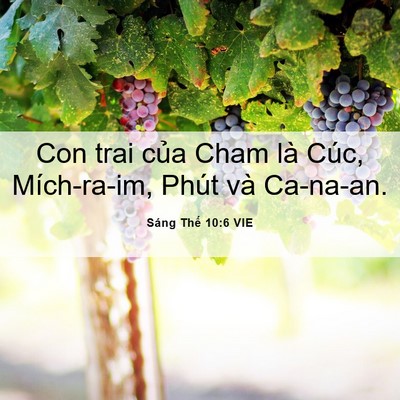 Picture 06 - Sáng Thế 10:6 VIE - Con trai của Cham là Cúc, Mích-ra-im, Phút - Bible Verse Picture