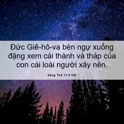 Picture 06 - Sáng Thế 11:5 VIE - Đức Giê-hô-va bèn ngự xuống đặng xem - Bible Verse Picture