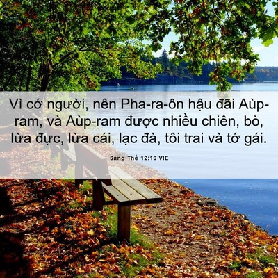 Picture 06 - Sáng Thế 12:16 VIE - Vì cớ người, nên Pha-ra-ôn hậu đãi - Bible Verse Picture