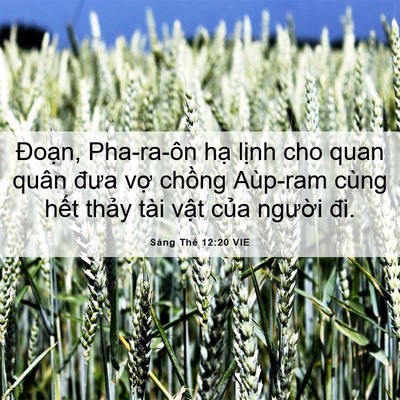 Picture 06 - Sáng Thế 12:20 VIE - Đoạn, Pha-ra-ôn hạ lịnh cho quan quân - Bible Verse Picture