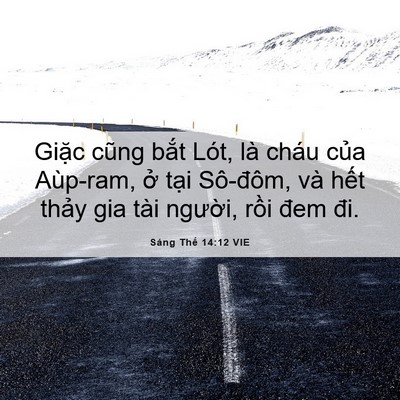 Picture 06 - Sáng Thế 14:12 VIE - Giặc cũng bắt Lót, là cháu của - Bible Verse Picture