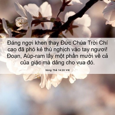 Picture 06 - Sáng Thế 14:20 VIE - Đáng ngợi khen thay Đức Chúa Trời Chí - Bible Verse Picture