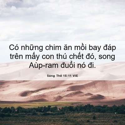 Picture 06 - Sáng Thế 15:11 VIE - Có những chim ăn mồi bay đáp trên mấy - Bible Verse Picture